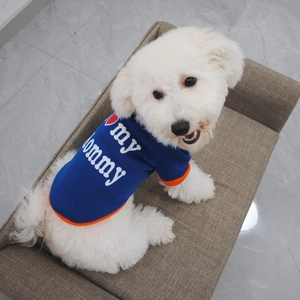 Close-up of small dog wearing navy blue fleece hoodie with I love my Mommy print