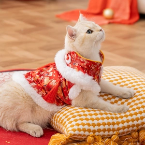 Traditional red Chinese Tang suit for cats and dogs with gold embroidery and fur trim