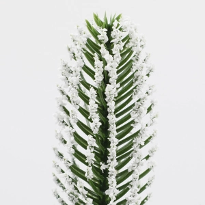 Detail of faux pine branch with realistic snow flocking and dense green needles