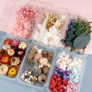 Detailed view of assorted dried flowers including pink baby's breath and green eucalyptus