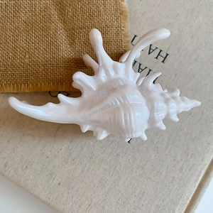 Detailed view of a seashell-shaped acrylic claw clip with a glossy pearlescent white finish