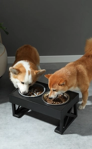 Détail de Corgi et Shiba Inu utilisant une station surélevée avec bols en inox et anti-glouton