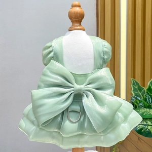 Detail of mint green pet dress with large bow and metal D-ring on silk fabric