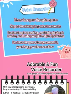 Functional details of recording microphone keychain toy with music playback