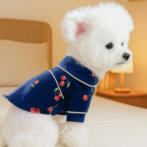 Detail view of navy blue silk pet pajamas with red cherry prints on a small white dog