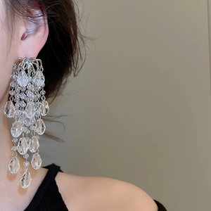 Close-up of silver tassel earrings with crystal water drop charms on a model