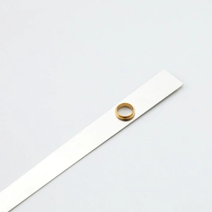 Polished gold metal clock movement ring accessory on brushed silver plate base