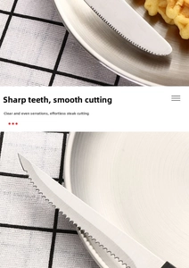 Detail of sharp serrated stainless steel steak knife with a polished brushed finish