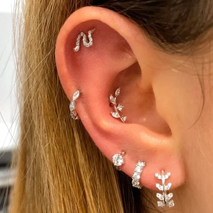 Detailed view of S925 silver earring set featuring snake and leaf zircon studs on ear