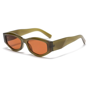 Vintage Cat Eye Sunglasses For Women Men Thick PC Frame AC Lens UV400 Retro Polygon Fashion Tortoiseshell Sunglasses Eyewear