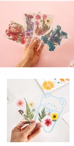 Makroaufnahme der handgemachten DIY-Trockenblumen mit Gänseblümchen und Spitzenblumen