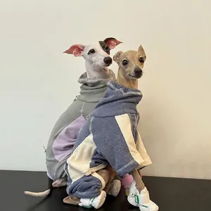 Grey and purple color-block high-neck dog sweater with athletic sneakers for greyhounds