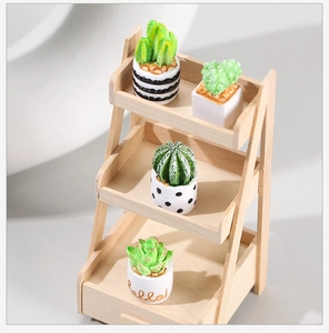 Three-tier wooden shelf with various mini succulent and cactus plants in ceramic pots