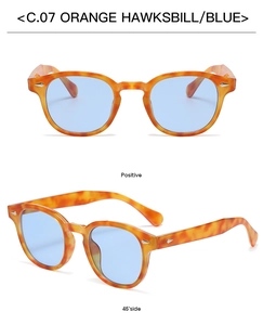 Lunettes de soleil rétro monture écaille ronde avec verres bleu clair et rivets argent