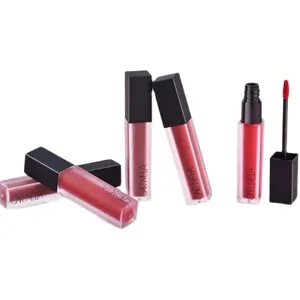 Matte velvet liquid lipstick set in five shades with frosted tubes and sleek black caps