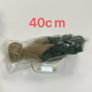 Detailed view of a 40cm mini Christmas tree with burlap base on a digital scale for size