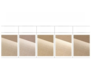 Comparison of beige woven carpet texture and color tones under five different lighting conditions