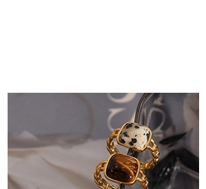 Close-up of vintage style chain rings with tiger eye and dalmatian jasper stones