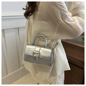 Silver metallic crossbody bag with gold hardware shown on a sequined beige top
