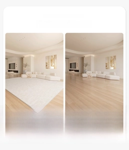 Detail comparison showing large cream living room rug brightening modern home space