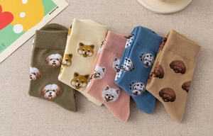 Detail of five pairs of cotton socks featuring cute dog embroidery in warm autumn colors