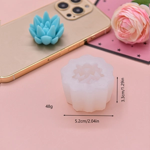 Détail du moule en silicone pour succulentes avec dimensions et spécifications de 48g