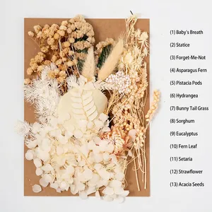 Macro view of 13 varieties of cream-toned dried flowers for DIY floral art projects