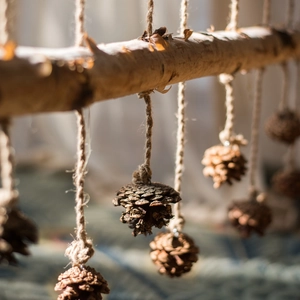 Natural birch wood hanging wall decor with pine cones and jute rope in rustic style