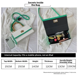 Detail view of crocodile pattern shoulder bag interior with precise size measurements