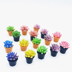 Miniature dollhouse succulent plants in colorful resin pots on white background