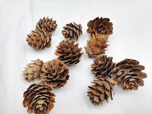 Detailed view of natural mini pine cones spread out for DIY Christmas crafts decoration
