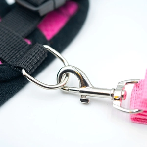 Detail of high-strength alloy hook and durable nylon webbing on pet harness