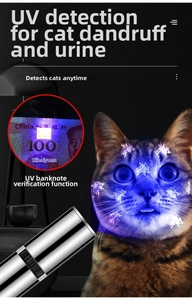 UV flashlight for cat fungus detection and counterfeit money identification with silver body