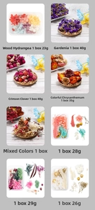 Variety pack of preserved flowers including hydrangeas and dried blooms in clear boxes