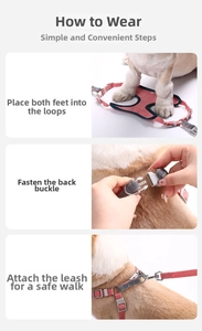 Three-step guide for putting on the reflective nylon dog harness with buckles