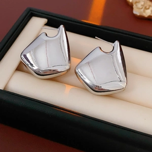 Detailed view of silver twisted geometric hoop earrings inside a premium jewelry box