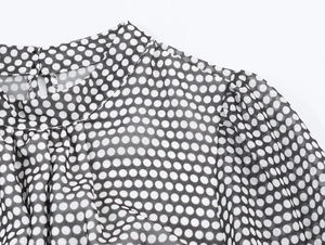 Detail of polka dot chiffon dress featuring high neckline and puff lantern sleeves