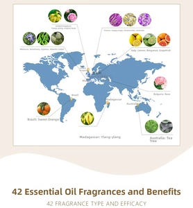 Global map showing origins of essential oils like Lavender, Rose, and Tea Tree extract