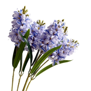 Realistic 3D purple and white hyacinth flower bouquet with green leaves for home decor