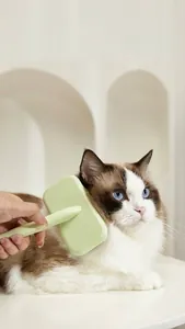 Pettine verde per gatti per la cura del pelo con impugnatura ergonomica professionale