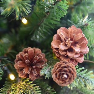 Piñas naturales decoración de árbol de Navidad adornos accesorios de foto para el hogar.