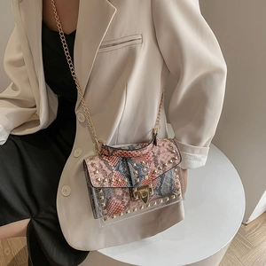 Graffiti transparent jelly bag with gold snake print detail and chain strap