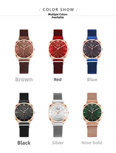 Sélection détaillée de montres Tadi à quartz pour femmes avec cadran soleil et maille