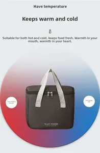 Close-up of insulated lunch bag with top handle and dual zippers for thermal storage