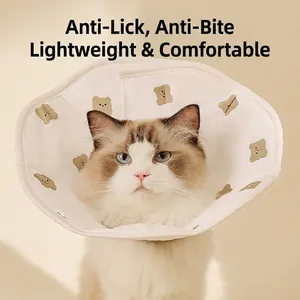 Collar isabelino suave para gatos con estampado de osos para recuperación médica