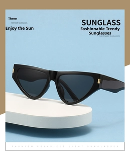 Detailed view of fashion cat eye sunglasses with gold hinge accents and polarized lenses