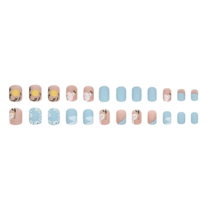 Short matte press-on nails set with sky blue floral and hand-painted bird patterns
