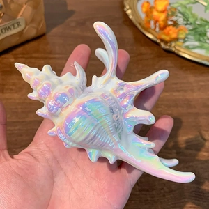 Iridescent seashell hair claw clip with colorful acrylic finish for beach vacation styling