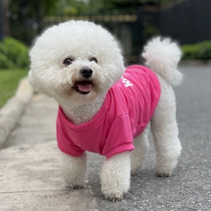 Detailed view of breathable pink cotton dog t-shirt with white print on white Bichon