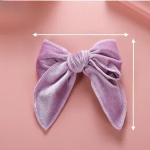 Détail du nœud papillon en velours violet montrant la texture douce du tissu soyeux